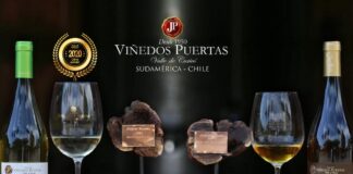 Viñedos Puertas : El Milagro, A Modern Winery with the Best Technology