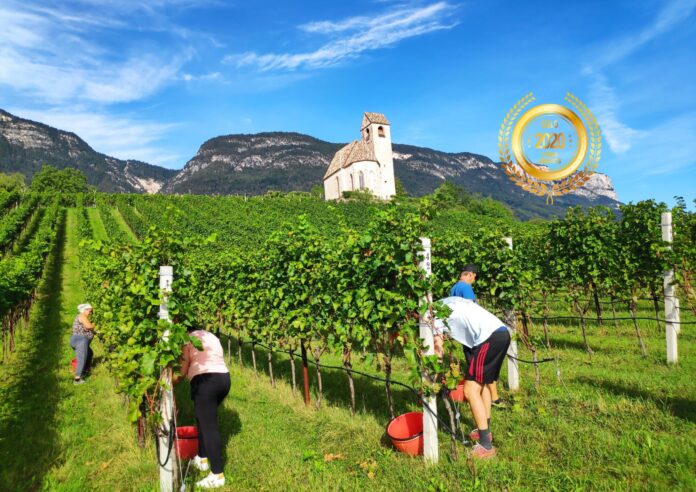 Castel Englar Winery : Excellent wines from high-quality grapes