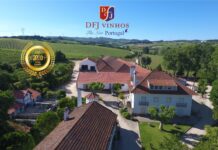 DFJ VINHOS SA : The New Portugal, Create Wines that People Enjoy