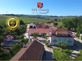 DFJ VINHOS SA : The New Portugal, Create Wines that People Enjoy