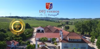 DFJ VINHOS SA : The New Portugal, Create Wines that People Enjoy